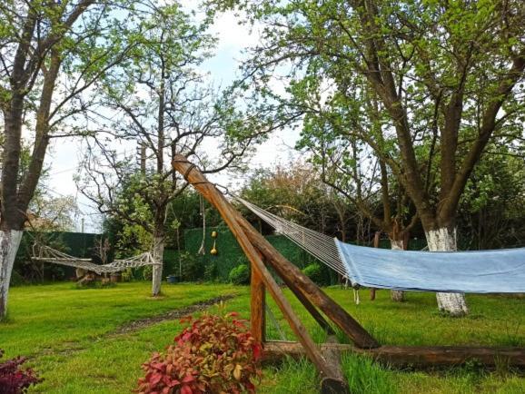Villa Atlas Muhafazakar Havuzlu, Mustakil Genis Bahceli Sapanca Esterno foto