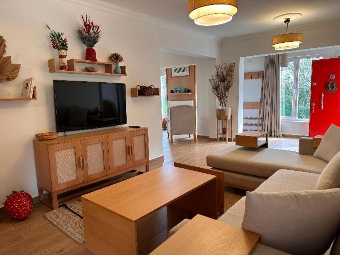 Villa Atlas Muhafazakar Havuzlu, Mustakil Genis Bahceli Sapanca Esterno foto